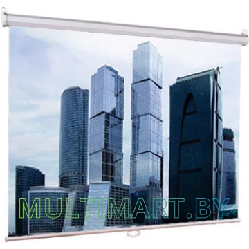 Проекционный экран Lumien Eco Picture (LEP-100101)